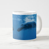 Grande Tasse Baleine à bosse (Devant droit)