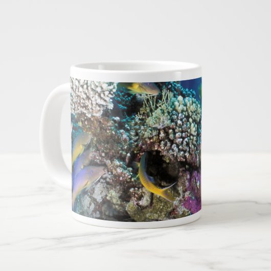 Grande Tasse Banc de rougets autour d'un petit corail (Devant gauche)