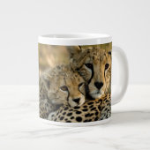 Grande Tasse Bébé guépard câlinant sa mère (Devant droit)