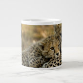 Grande Tasse Bébé guépard câlinant sa mère (Devant)