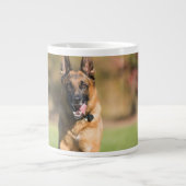 Grande Tasse Berger allemand en course (Devant)