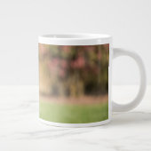 Grande Tasse Berger allemand en course (Droite)