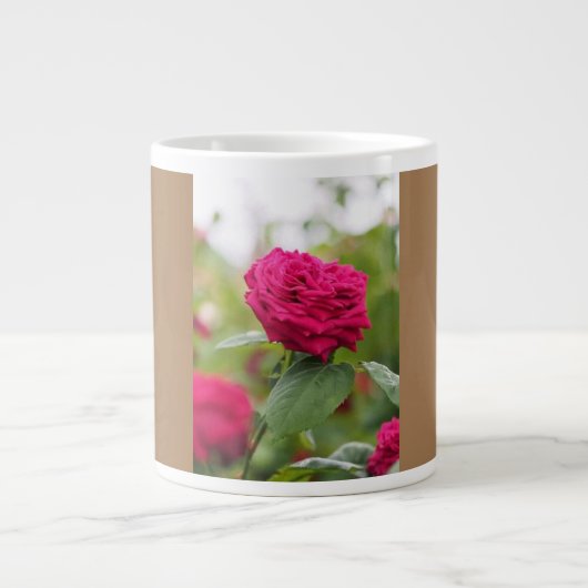 Grande Tasse Bouchon de spécialité (Devant)