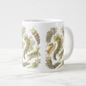 Grande Tasse Boues de mer par Ernst Haeckel, Nudibranchia Vinta (Devant droit)