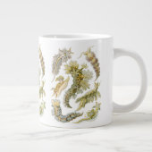 Grande Tasse Boues de mer par Ernst Haeckel, Nudibranchia Vinta (Droite)
