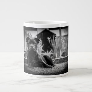 Grande Tasse Bull-terrier du Staffordshire
