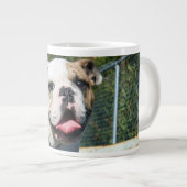 Grande Tasse bulldog anglais (Devant droit)