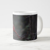 Grande Tasse Cardinal masculin (Devant droit)