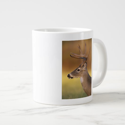 Grande Tasse Cerf de Virginie, Odocoileus virginianus, (Devant droit)