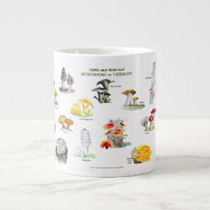 Grande Tasse Champignons du Vermont - Noms communs