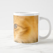 GRANDE TASSE CHAT MAINE COON STARE DOUBLE (Droite)