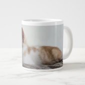 Grande Tasse Chaton roux et blanc (Devant droit)