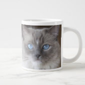 Grande Tasse Chatte Ragdoll (Droite)