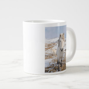 Grande Tasse Cheval islandais blanc, Islande