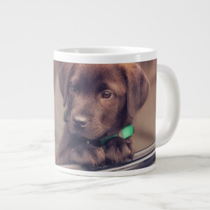 Grande Tasse Chocolat Labrador Puppy In Car