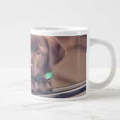 Grande Tasse Chocolat Labrador Puppy In Car (Droite)