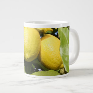 Grande Tasse Citrons jaunes frais sur un arbre