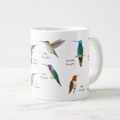 Grande Tasse Colibri nord-américain (Devant droit)