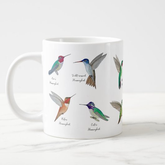 Grande Tasse Colibri nord-américain (Gauche)