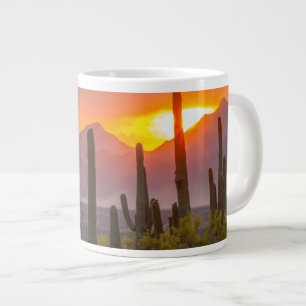 Grande Tasse Coucher de soleil sur cactus du désert, Arizona