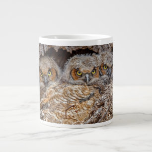 Grande Tasse Cutest Baby Animals   Great Horned Chicks
