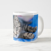 Grande Tasse Cutest Baby Animals | Tabby Kitten in Play Tunnel (Devant droit)