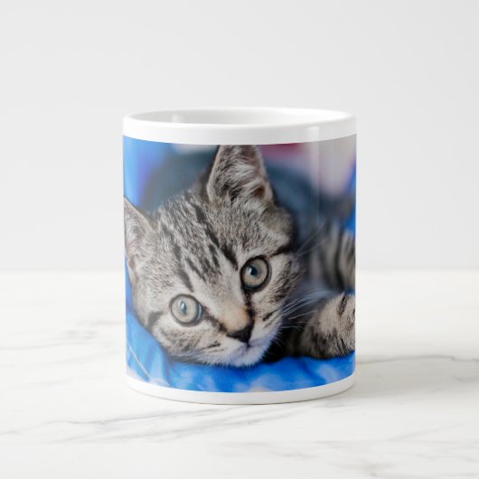 Grande Tasse Cutest Baby Animals | Tabby Kitten in Play Tunnel (Devant)
