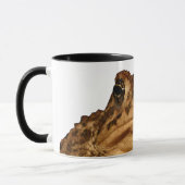 Grande tasse de crapaud (Gauche)