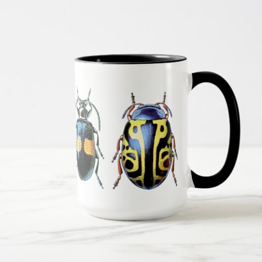 Grande tasse de scarabée (Droite)
