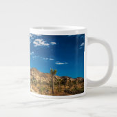 Grande Tasse Deserts | Joshua Tree National Park (Droite)