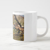 Grande Tasse Échantillon de Fubby sur la balançoire. (Droite)