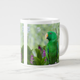 Grande Tasse Eclectus Parrot Homme