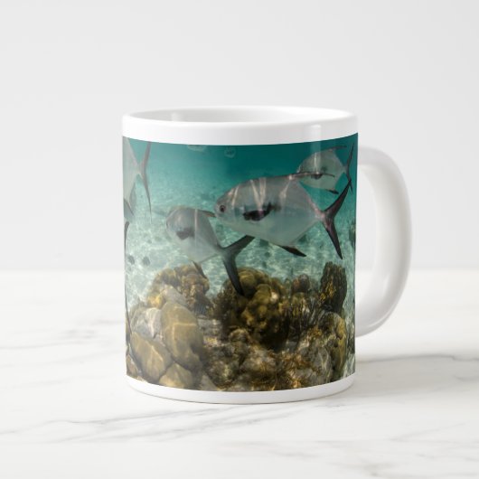 Grande Tasse École de permis de pêche (Devant droit)