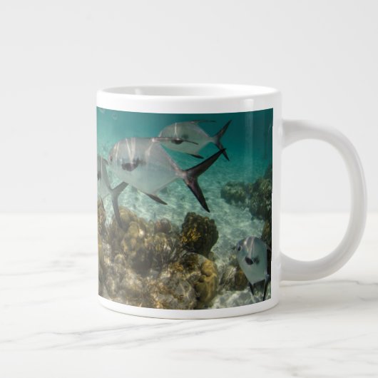 Grande Tasse École de permis de pêche (Droite)