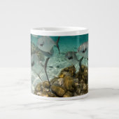 Grande Tasse École de poissons permis (Devant)