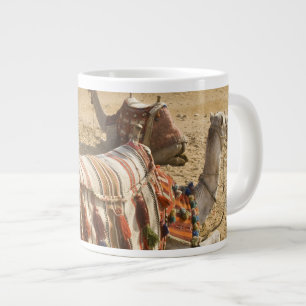 Grande Tasse Égypte, Le Caire. Chameaux au repos