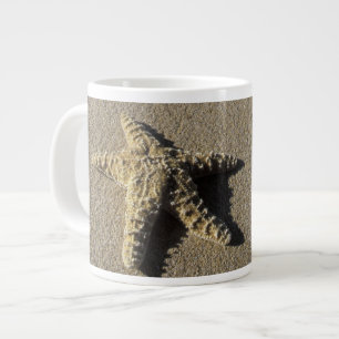 Grande Tasse États-Unis, Hawaï, Maui, Makena Beach, Étoile de m
