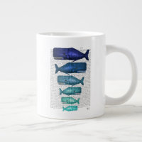 Famille Blue Whale