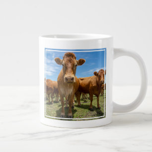 Grande Tasse Farms   Brown cow