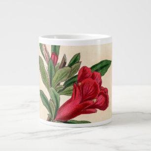 Grande Tasse Fleur de grenade - détail de l'illustration vintag