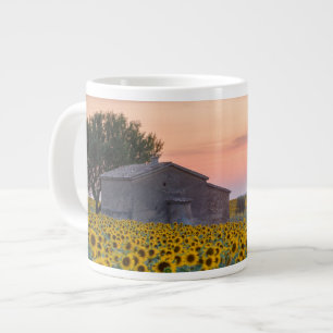 Grande Tasse Fleurs Sunflower Field Provence, France