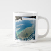 Grande Tasse Floride Oblique, Sur La Côte Sud-Est (Droite)