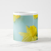 Grande Tasse Flowers (homonymie) | Daffodils (Devant)