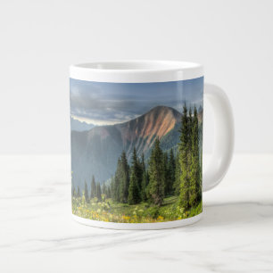Grande Tasse Flowers (homonymie) Wildflowers Silverton Colora