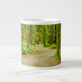 Grande Tasse Forest | Parc national olympic (Devant)