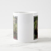 Grande Tasse Forest | Séquwood Forest California (Devant)