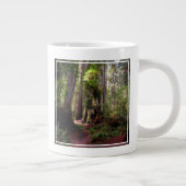 Grande Tasse Forest | Séquwood Forest California (Droite)