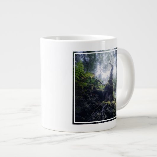 Grande Tasse Forêt | Anaga Parc rural Îles Canaries (Devant droit)