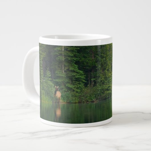 Grande Tasse Forêt | Elk au parc national Banff Alberta (Devant gauche)