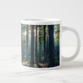Grande Tasse Forêt | Forêt Noire Allemagne (Droite)